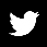 Twitter ICON